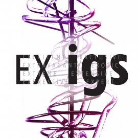 EX – IGS / Výstava